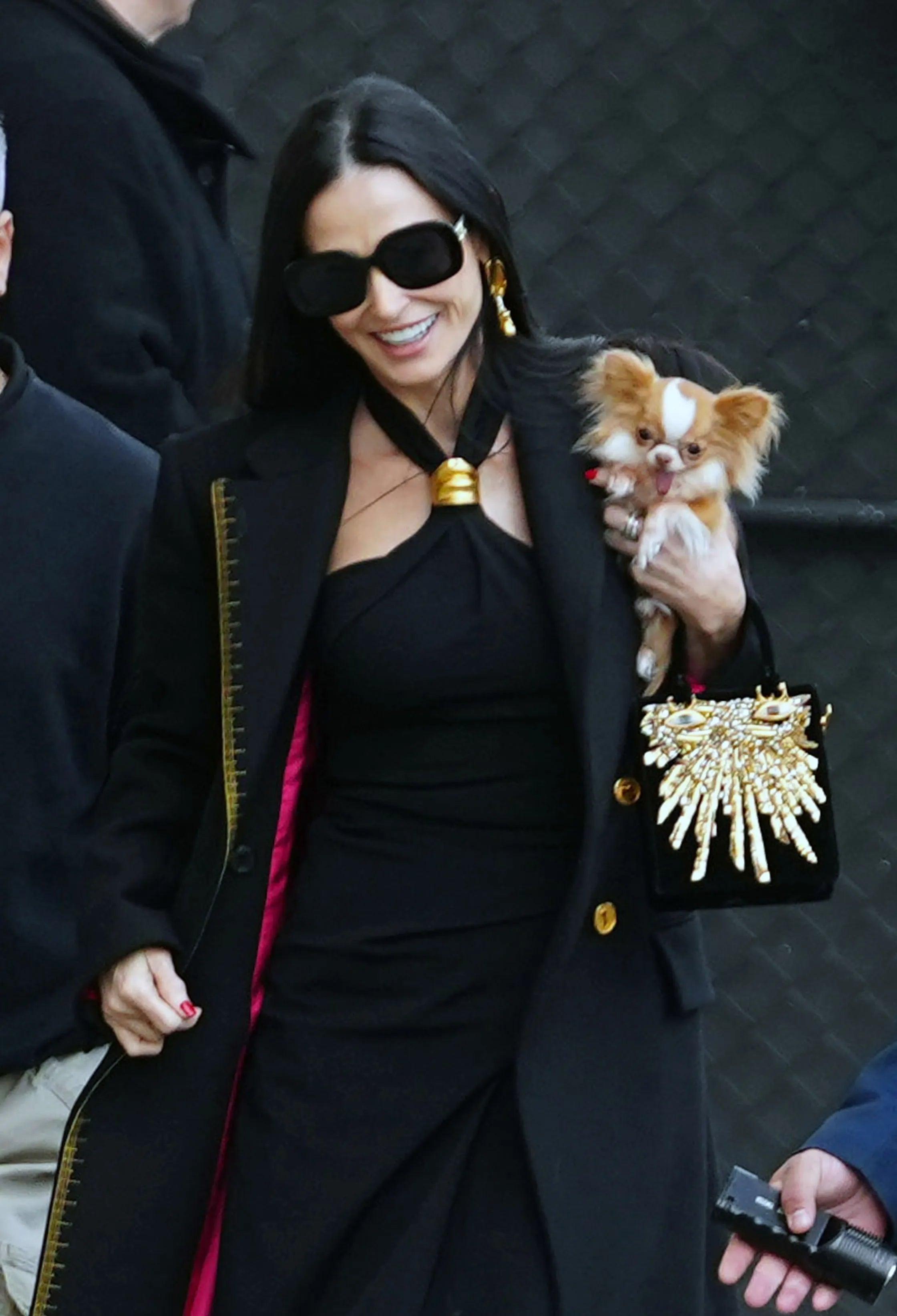 Demi Moore’s Chic Pilaf Dog Bag: A Stylish Statement