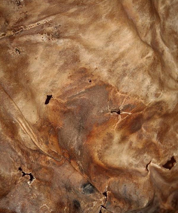 brown real leather surface