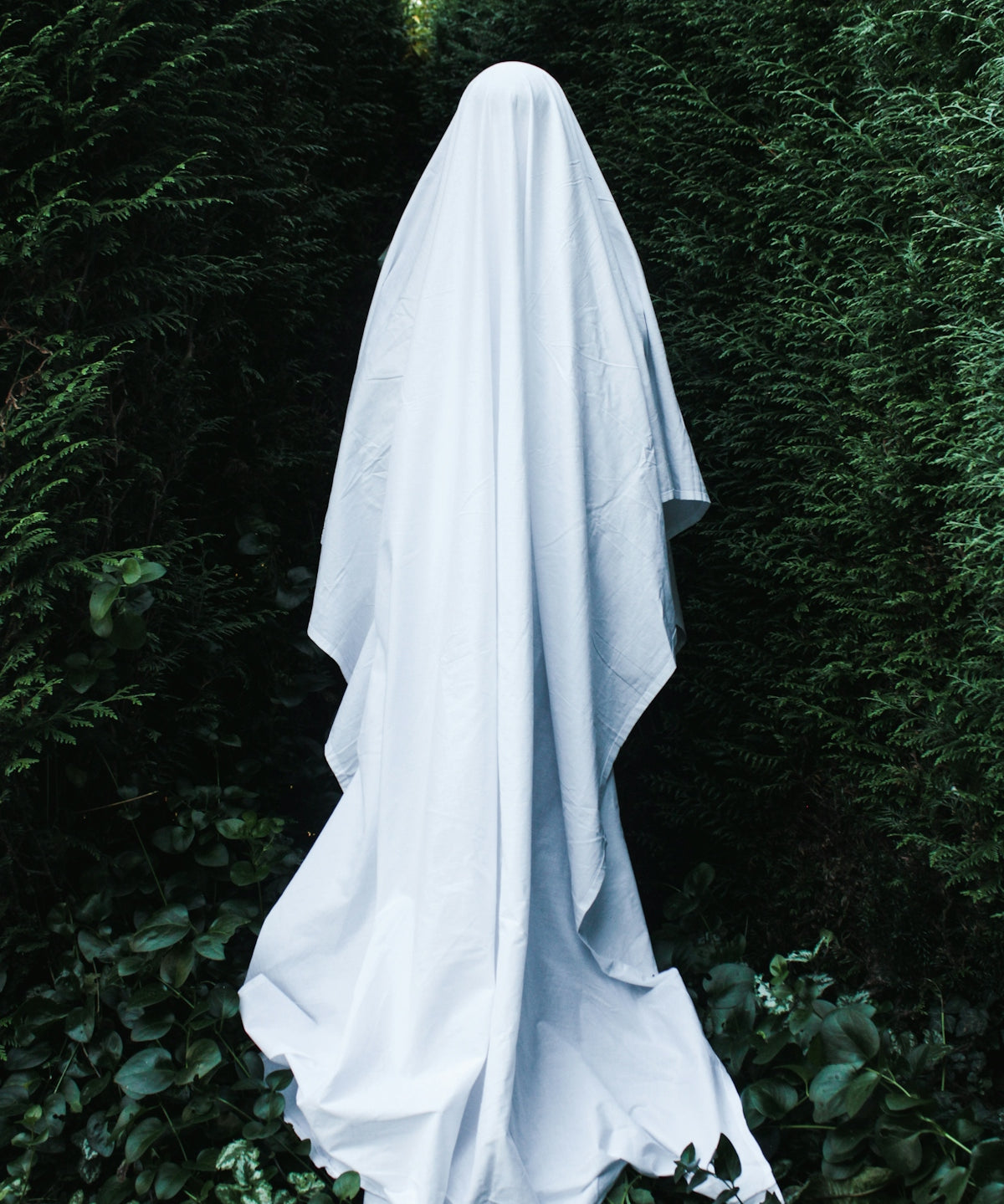 a ghost is standing in the middle of a hedge