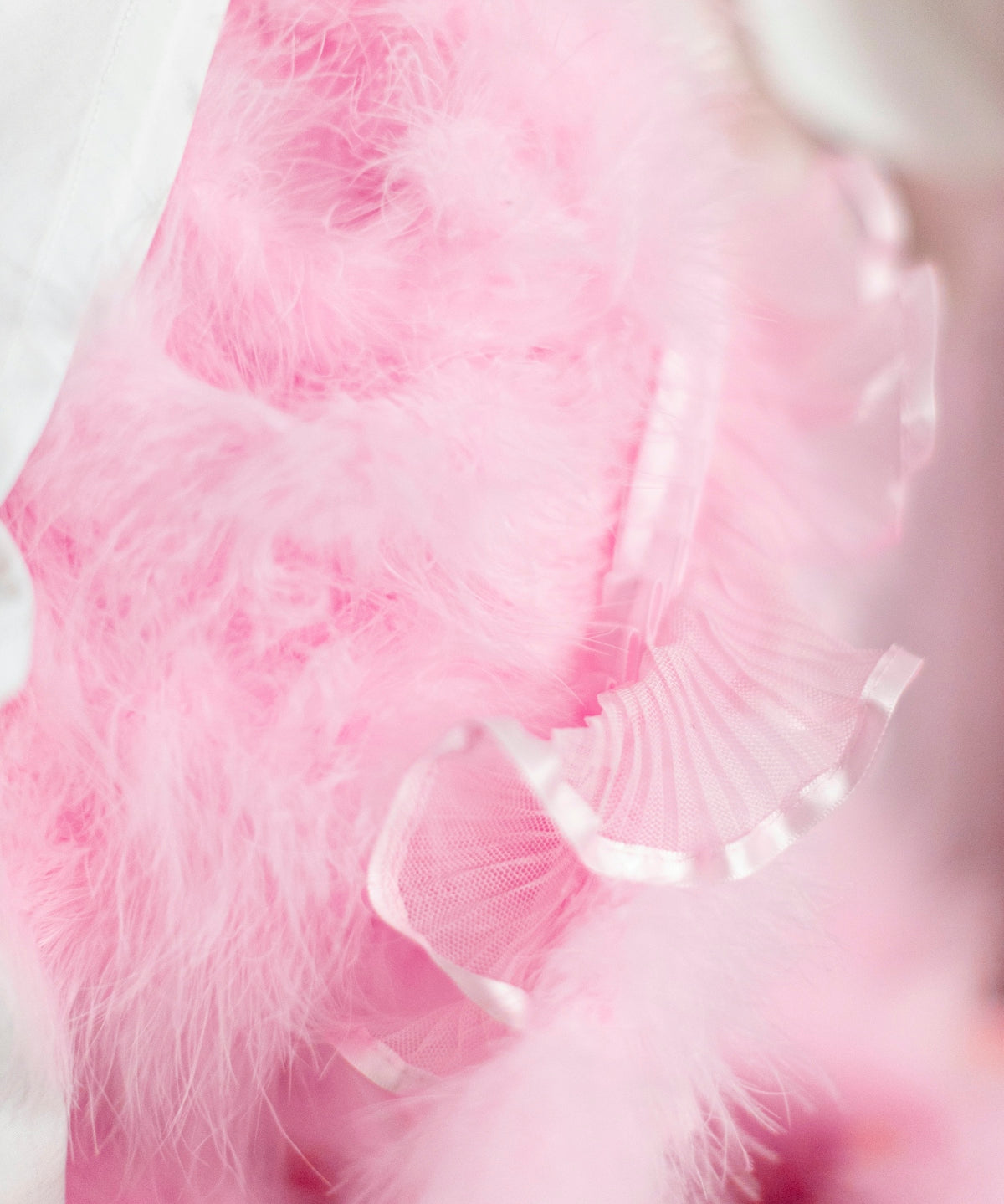 a close up of a pink feather on a white cloth