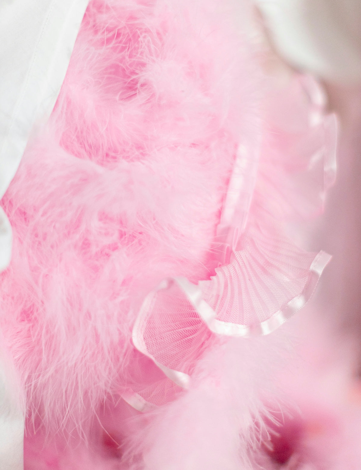 a close up of a pink feather on a white cloth