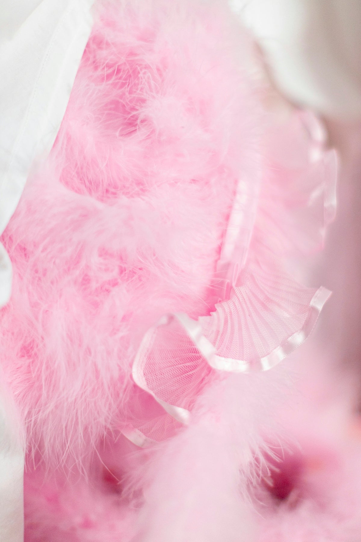 a close up of a pink feather on a white cloth