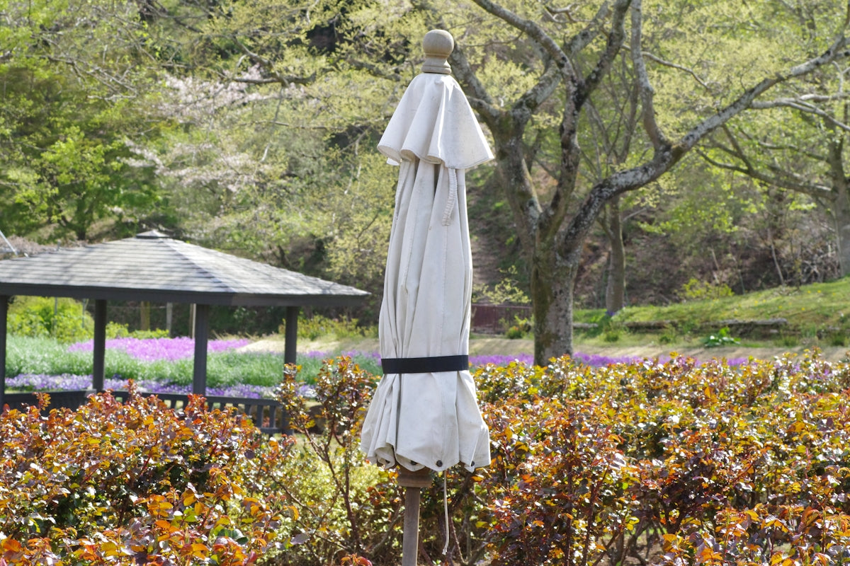 A closed umbrella stands in a garden setting.