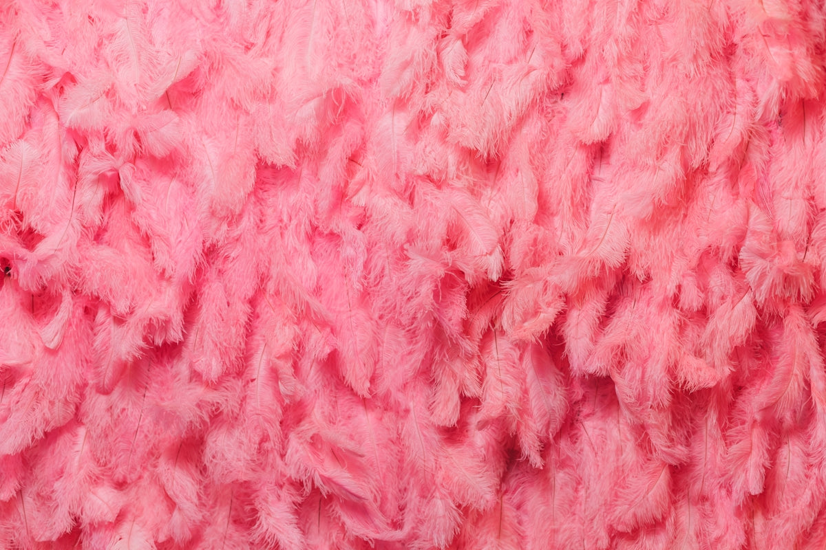 Close-up of fluffy pink textured material